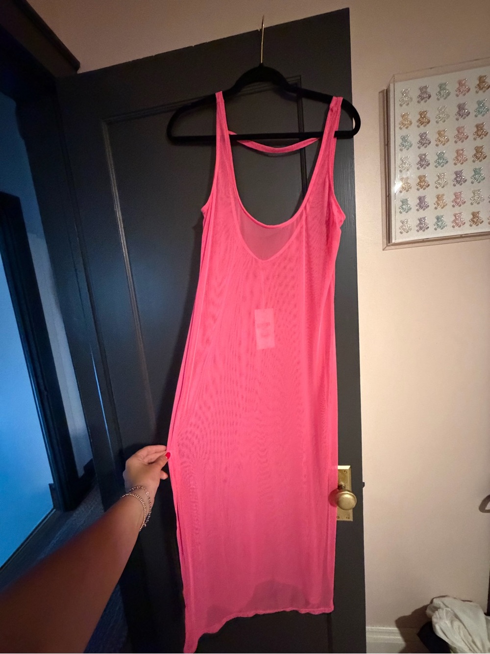 Tini Bikini Pink Sleeveless Mesh Maxi Dress
